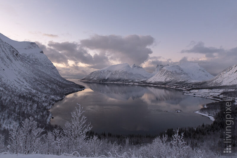 Reflektion im Fjord