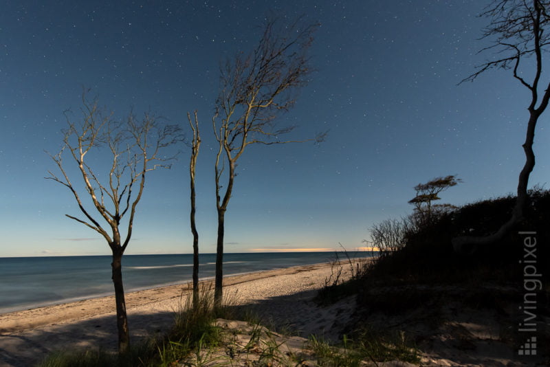 Strand im Mondschein