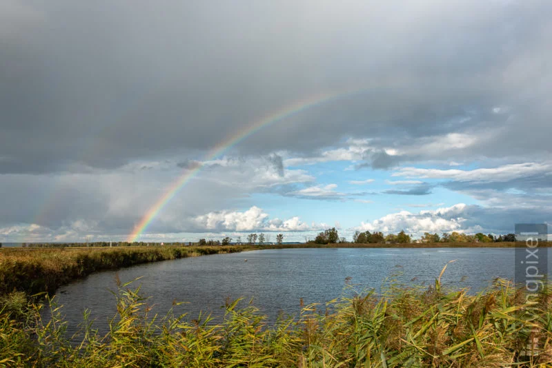 Regenbogen
