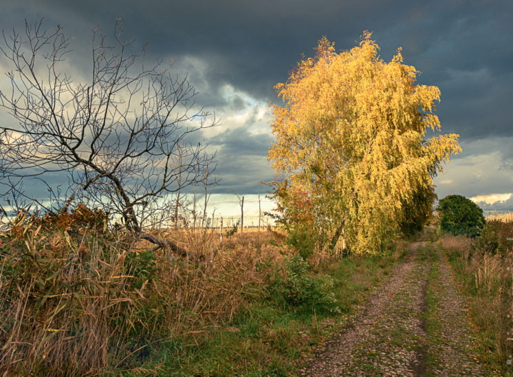 Herbst