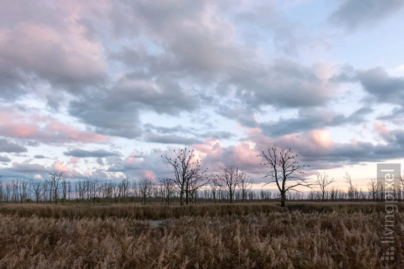 Standtbruch Sonnenuntergang