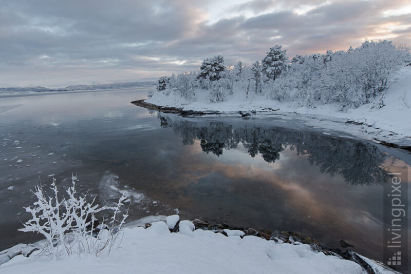 Reflektion im Fjord