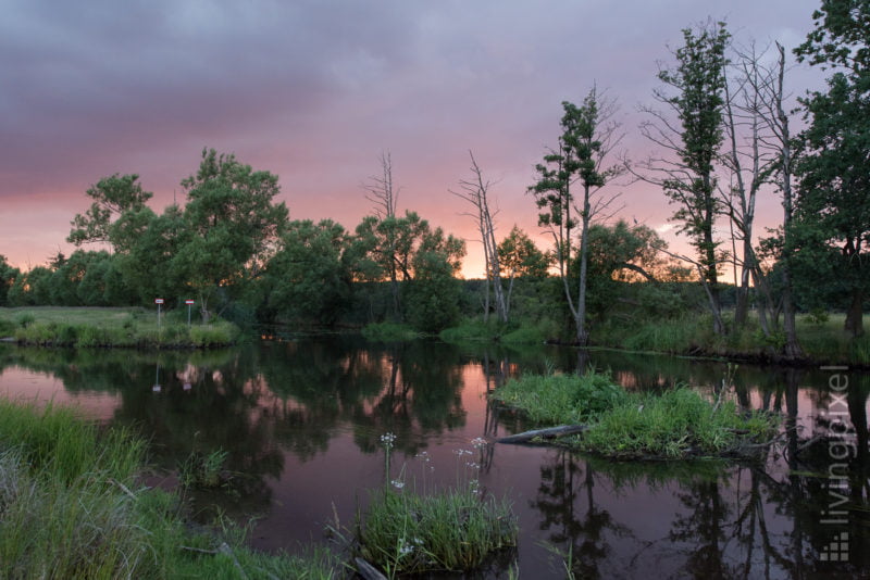 Sonnenuntergang an der Müggelspree