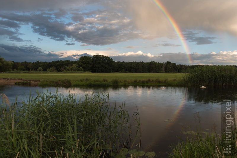 Regenbogen über der Spree