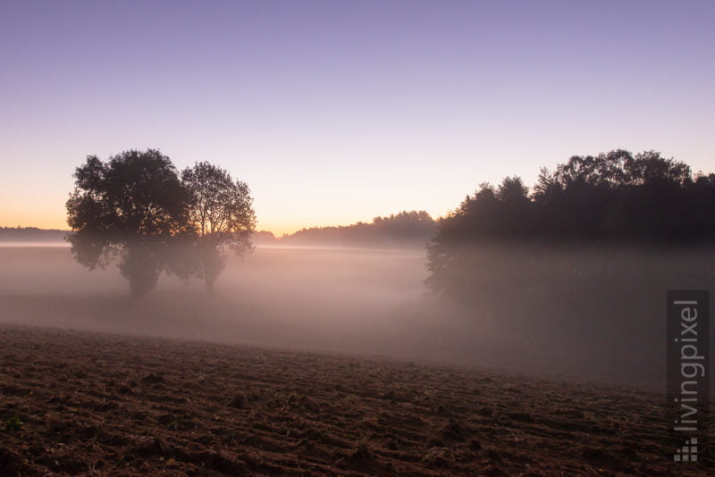 Herbst-Nebel