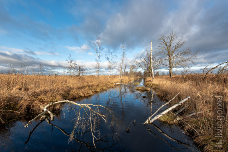 Winterstimmung