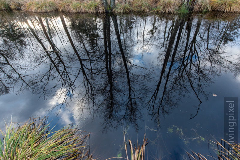 Spiegelung