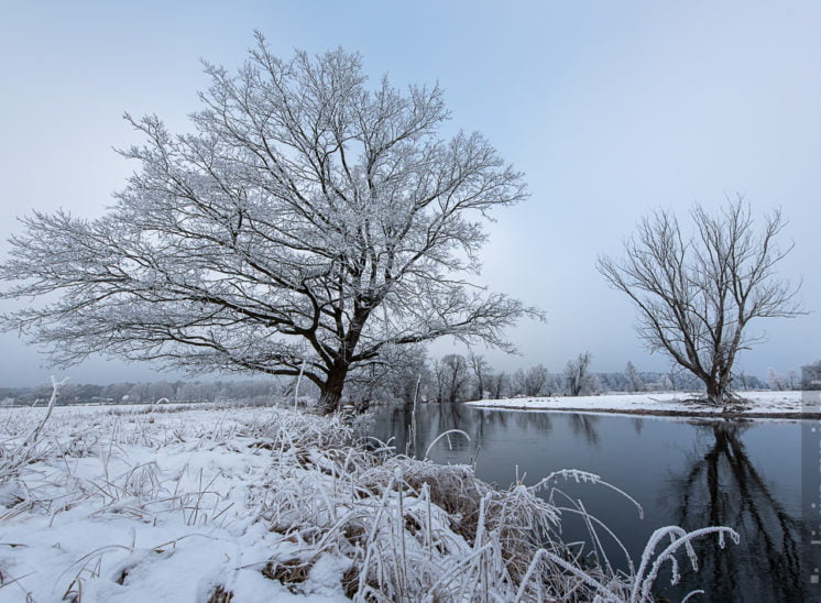 Spree im Winter