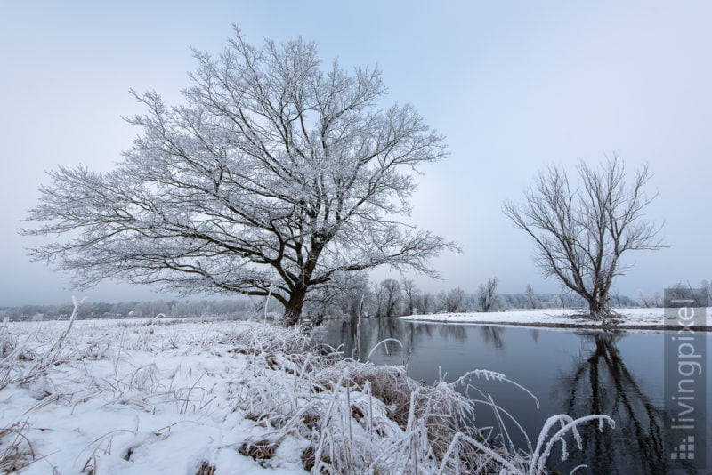 Spree im Winter