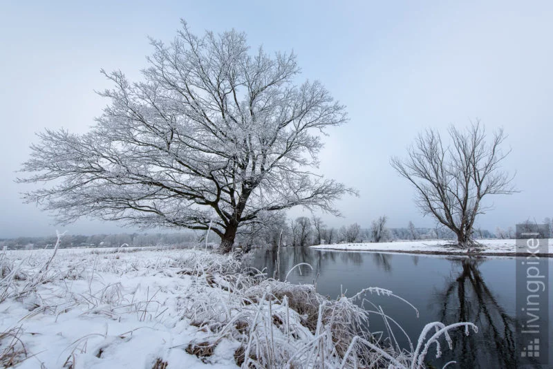 Spree im Winter