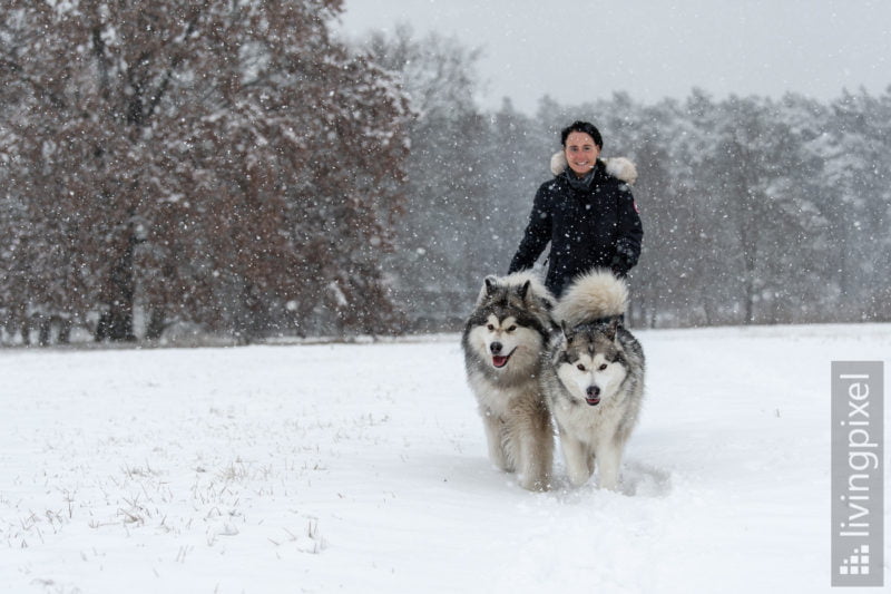 Winterspaziergang