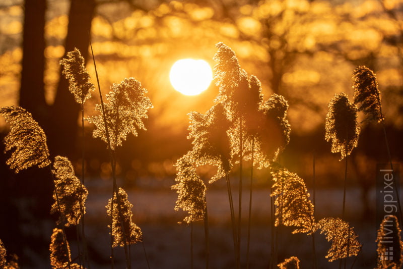 Glühen im Sonnenuntergang