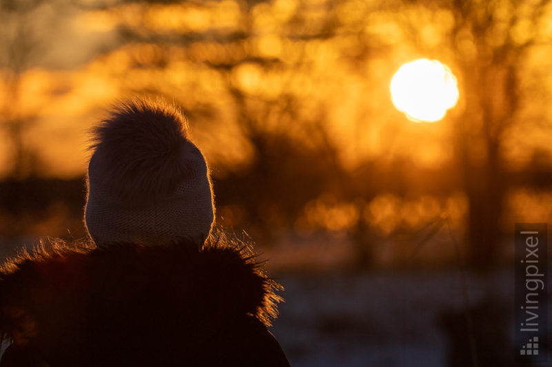 Im letzten Sonnenlicht