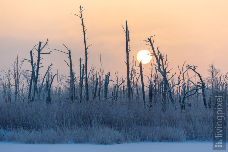 Sonnenaufgang im Winter