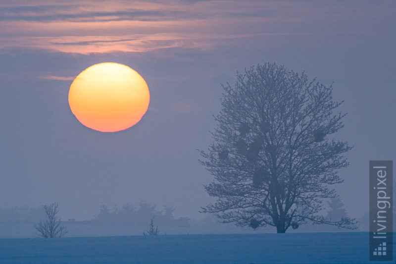 Sonnenuntergang im eisigen Nebel