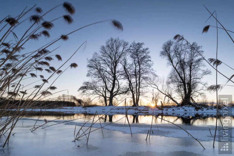 Winter-Spree