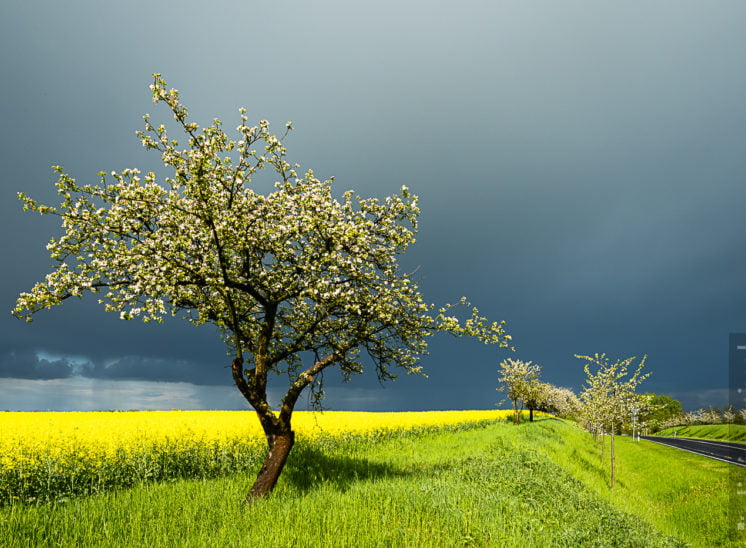 Frühling in der Uckermark