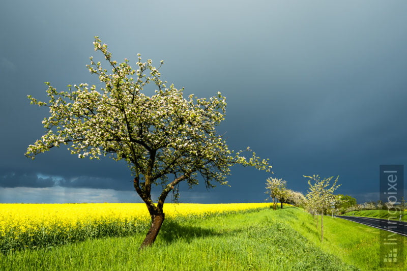 Frühling in der Uckermark