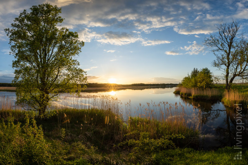 Sonnenuntergang im Unteren Odertal