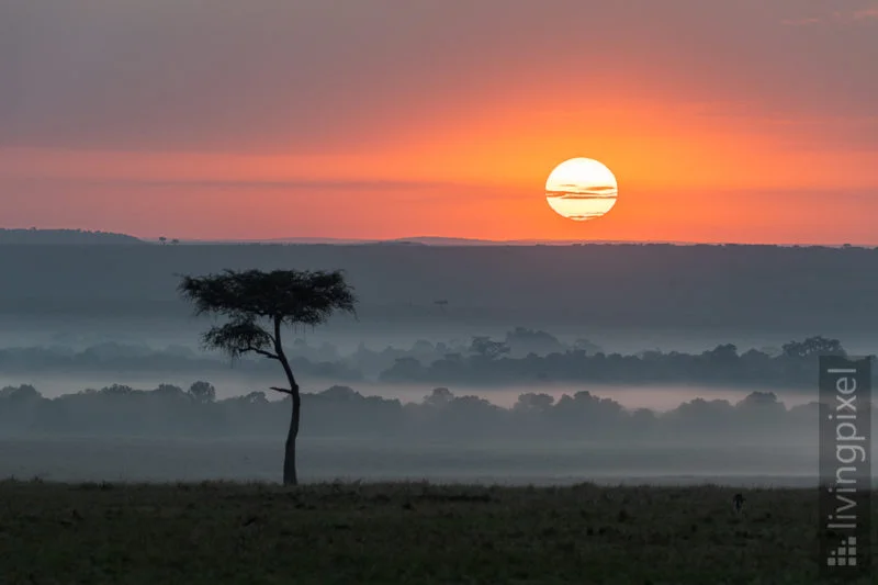 Sonnenaufgang nach dem Regen in der Nacht
