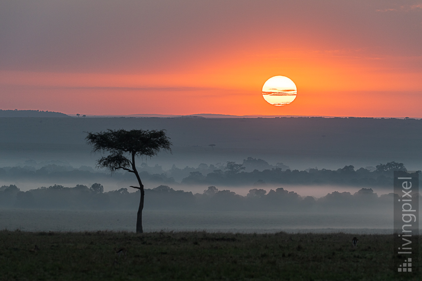 Sonnenaufgang nach dem Regen in der Nacht