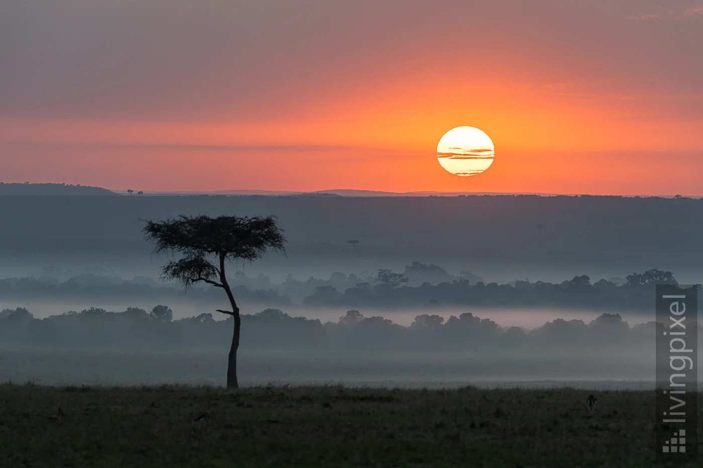 Sonnenaufgang nach dem Regen in der Nacht