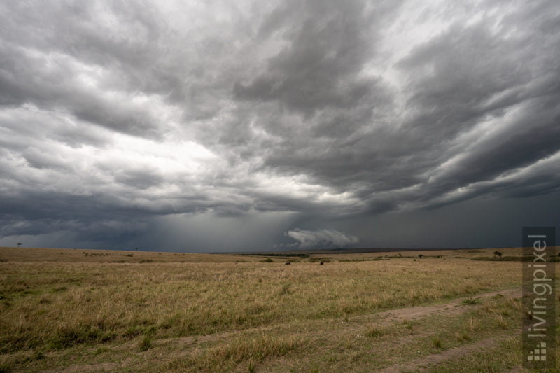 Die Regenzeit kündigt sich an