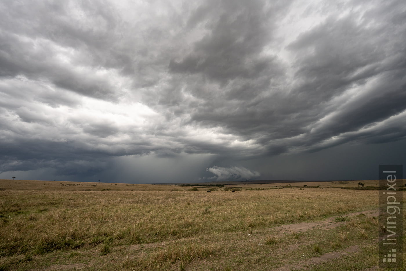 Die Regenzeit kündigt sich an