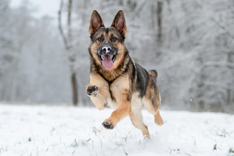 Winterspaß