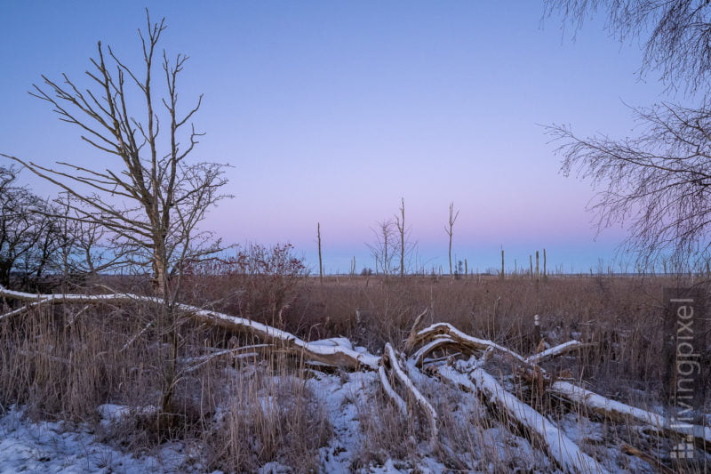 Wintermorgen