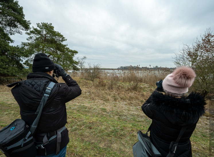 Führung in das Naturschutzgebiet mit dem Ranger des NABU