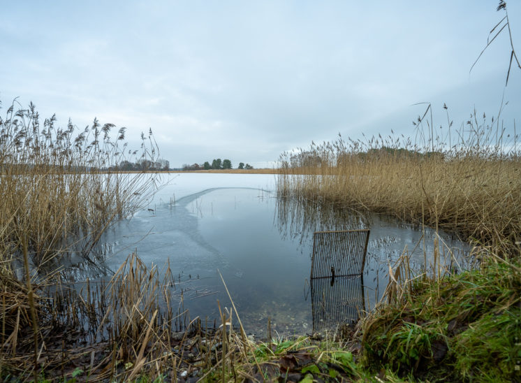 Blumberger Fischteiche im Winter