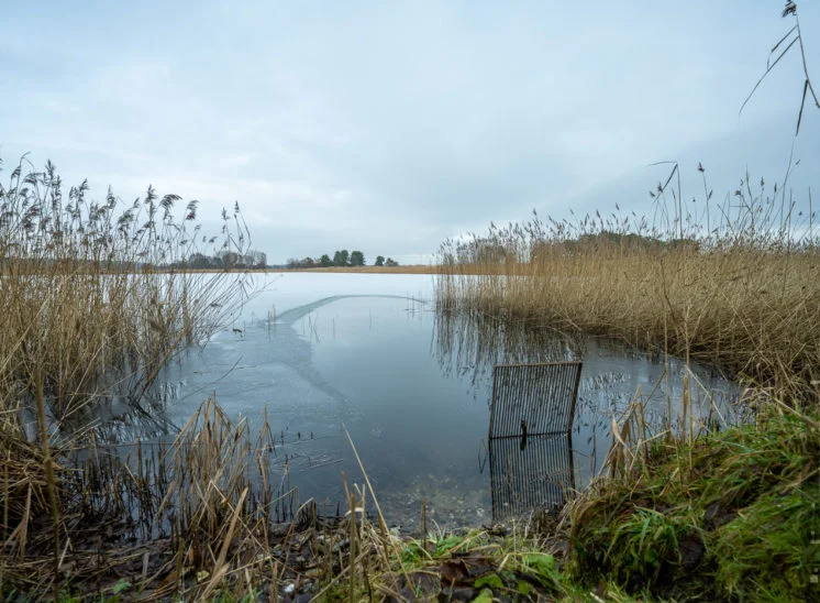 Blumberger Fischteiche im Winter