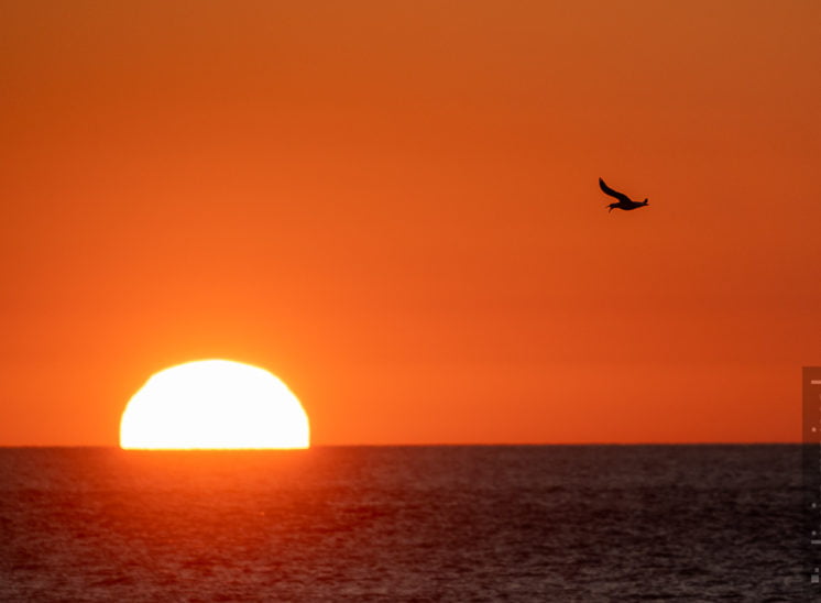 Sonnenaufgang am Hafen