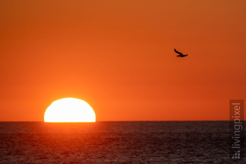 Sonnenaufgang am Hafen