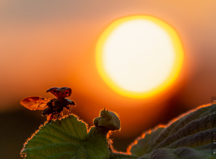 Start in den Sonnenuntergang