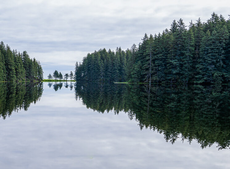 Spiegelung auf dem Lake Gertrude