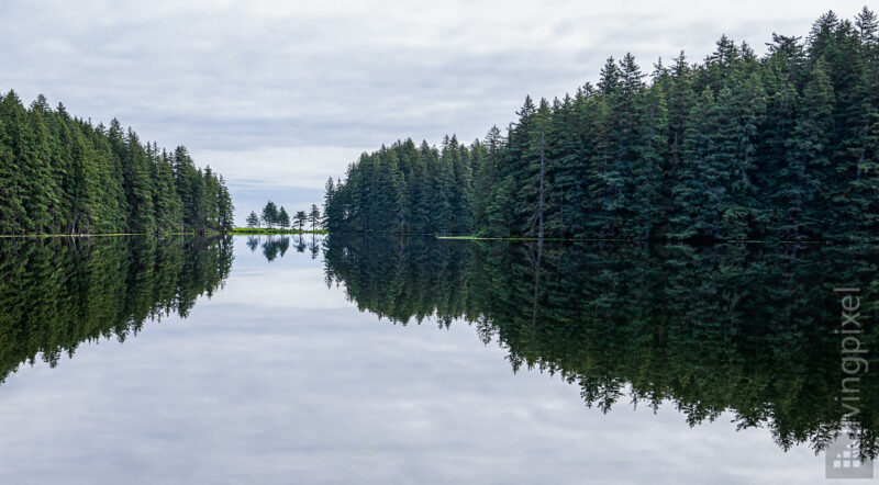 Spiegelung auf dem Lake Gertrude