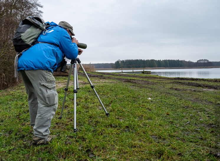 Führung in das Naturschutzgebiet mit dem Ranger des NABU