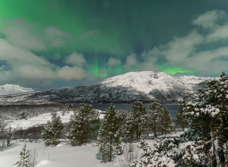 Polarlicht über dem Fjord