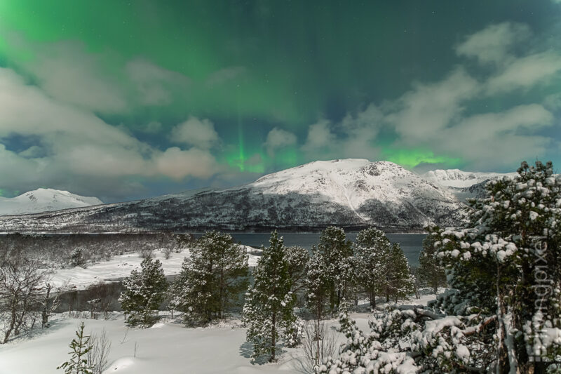 Polarlicht über dem Fjord