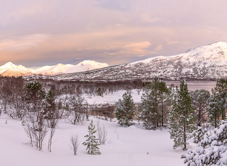 Sonnenaufgang über dem Fjord