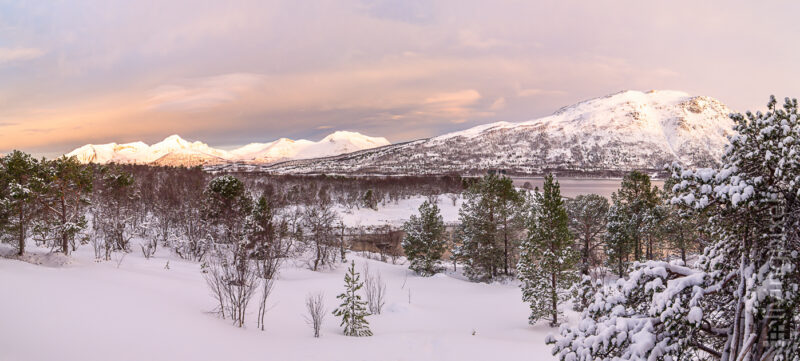 Sonnenaufgang über dem Fjord