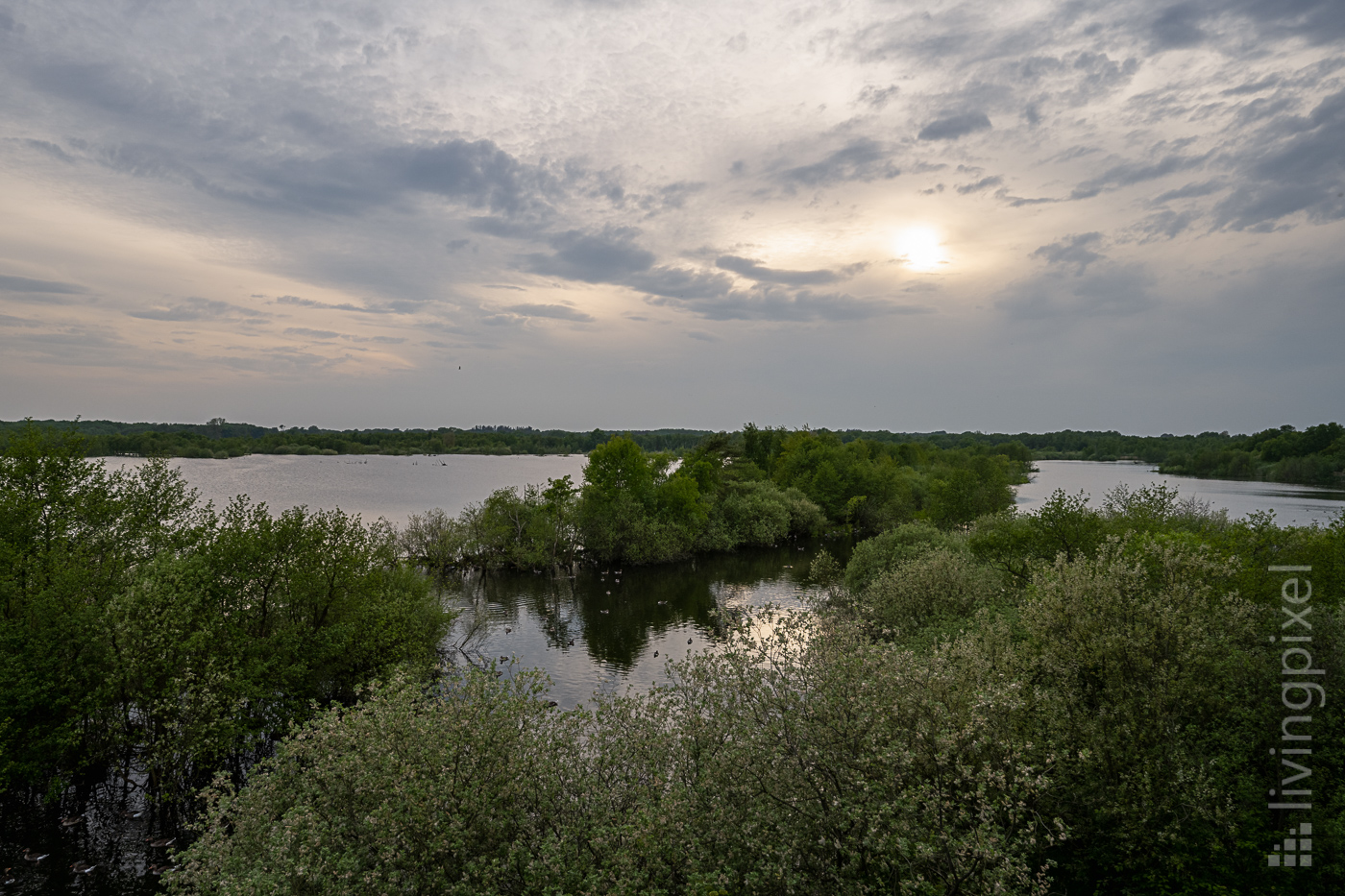 Naturschutzgebiete - Seen