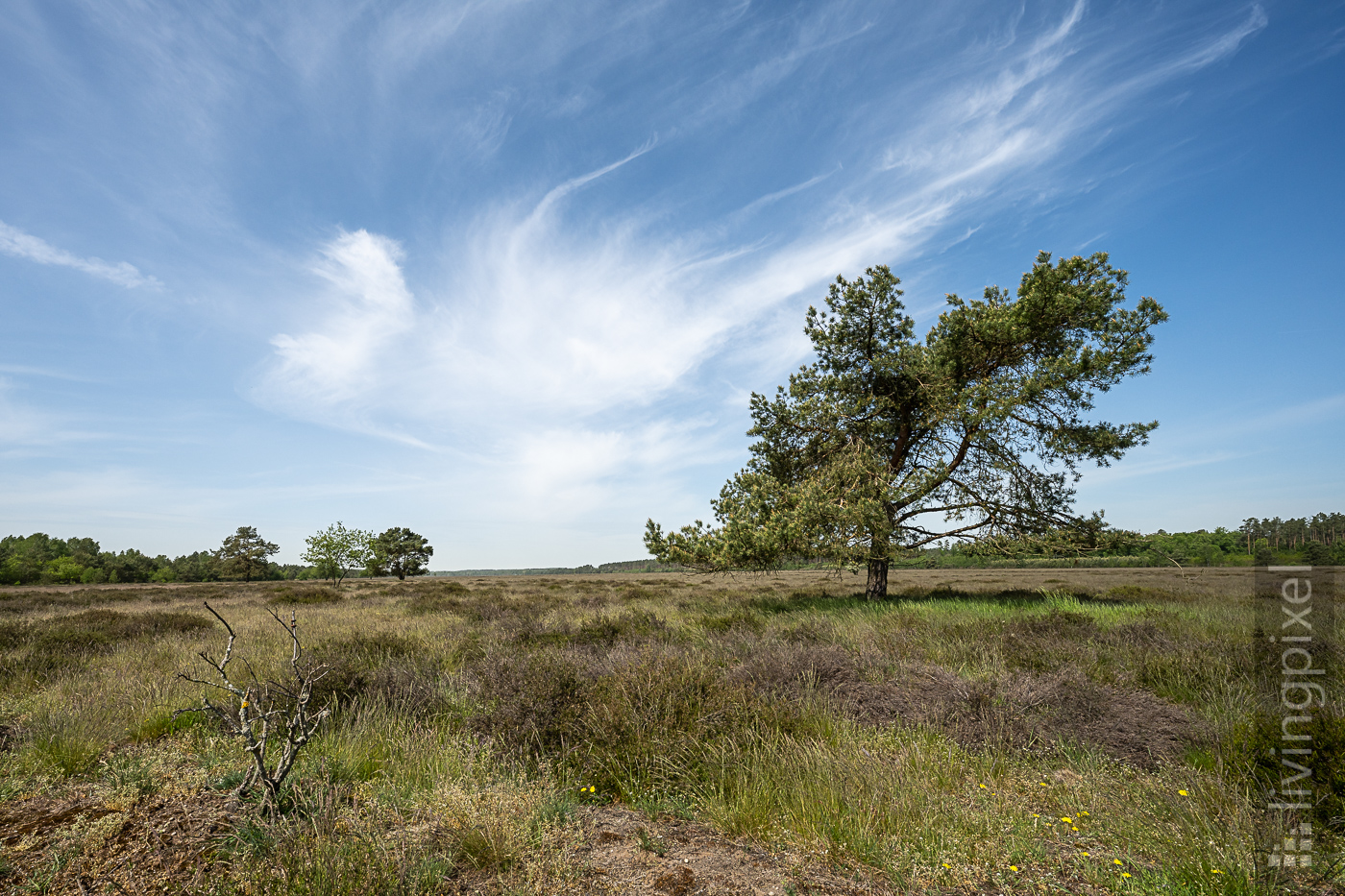 Naturschutzgebiete - Trockenrasen/Heide