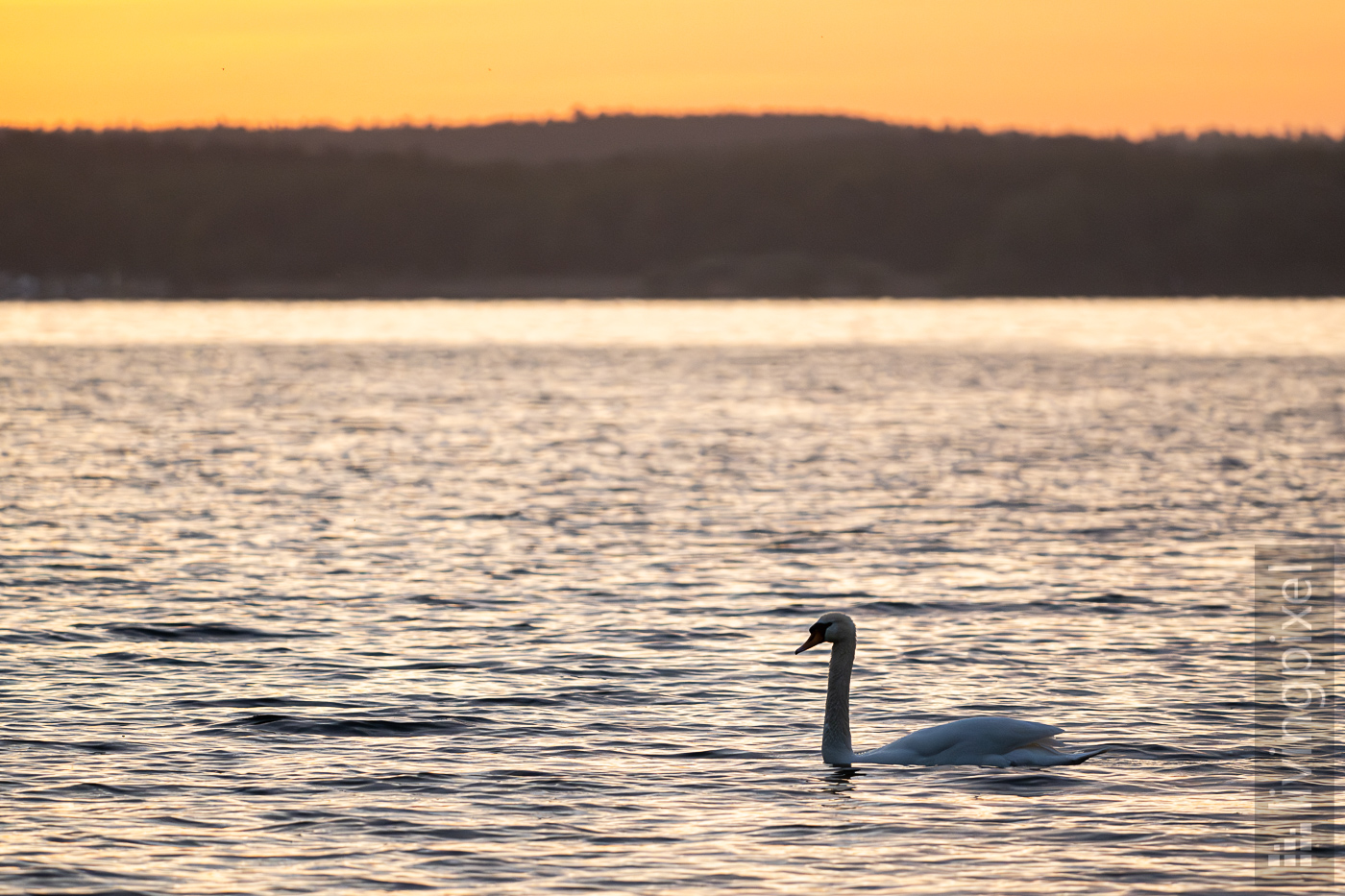 Sonnenaufgang am Plauer See