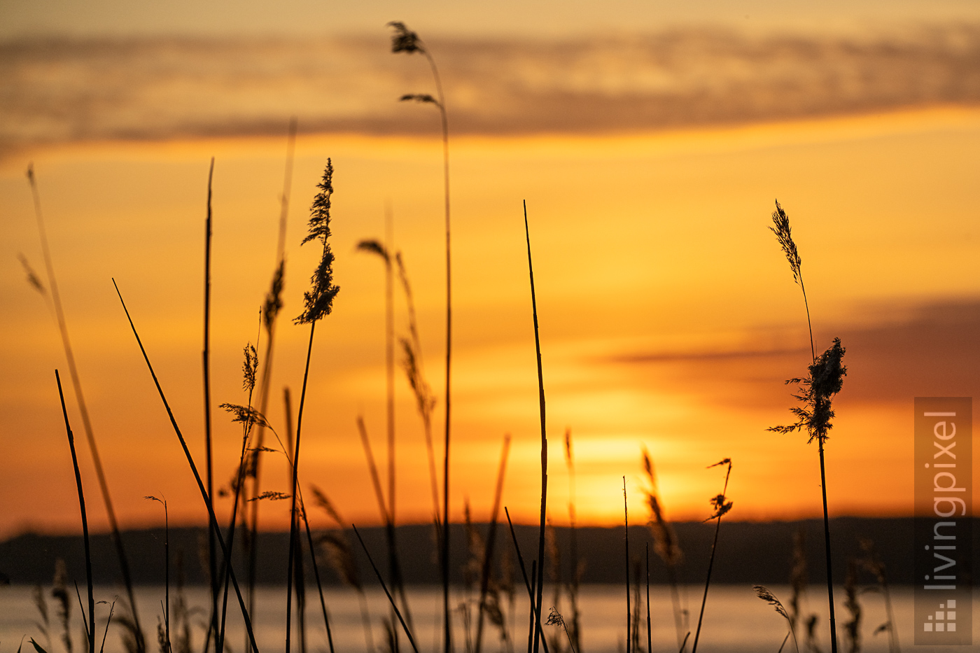 Sonnenaufgang am Plauer See