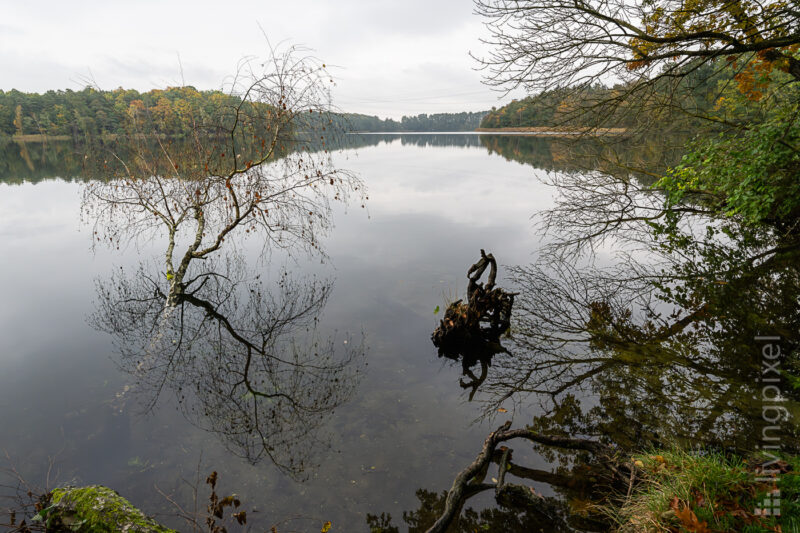 Spiegelung am Bötzsee