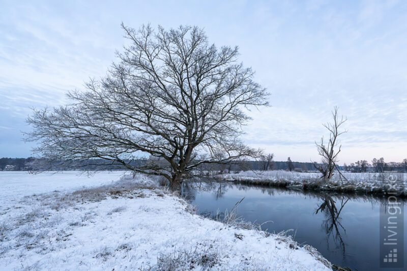 Ein eisiger Wintermorgen an der Müggelspree