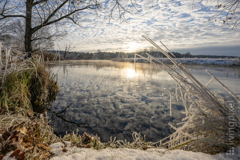 Ein eisiger Wintermorgen an der Müggelspree